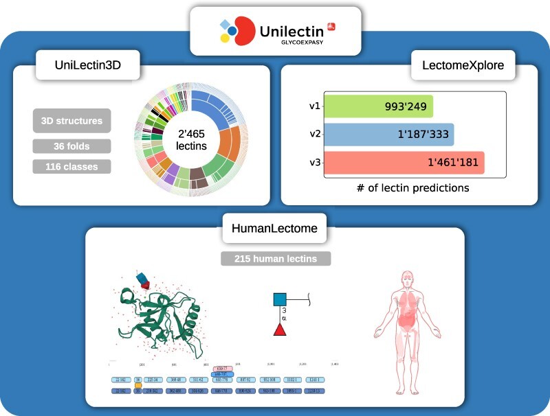 Graphical Abstract
