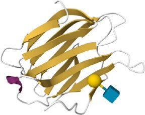 graphic file with name gkad905figu3.jpg
