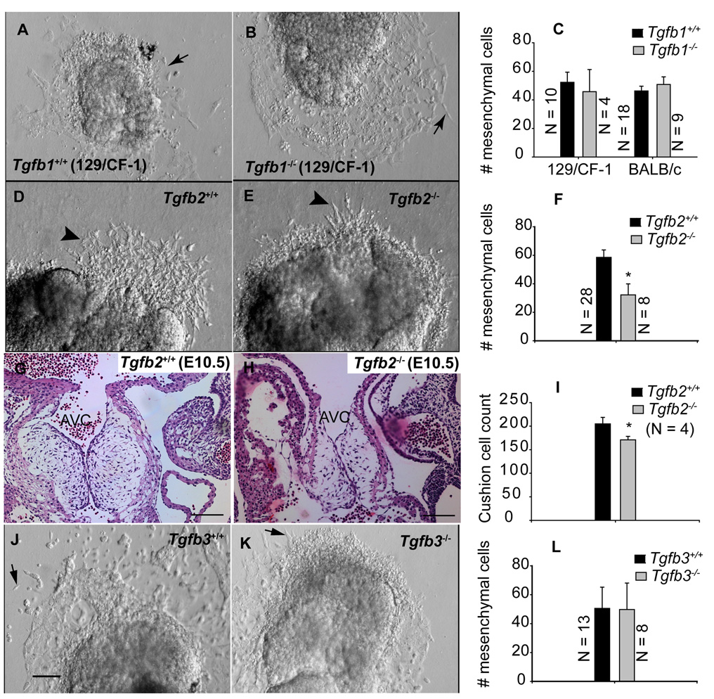 Fig.1