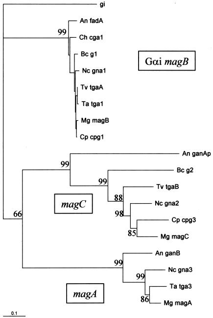 FIG. 1.