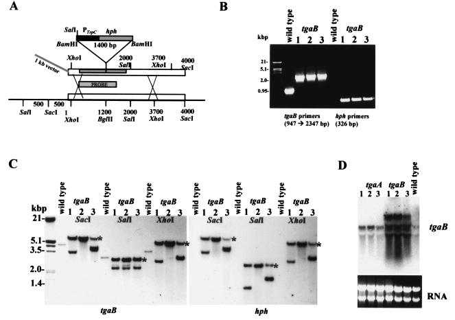 FIG. 3.