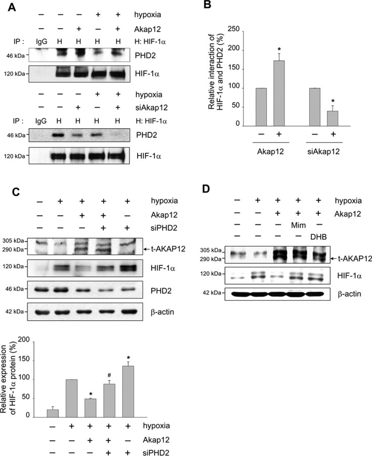 Figure 10.