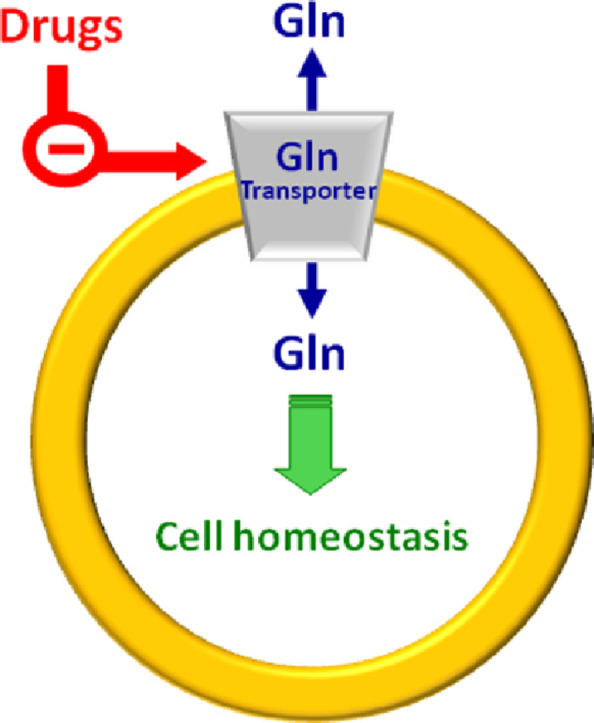 Image, graphical abstract