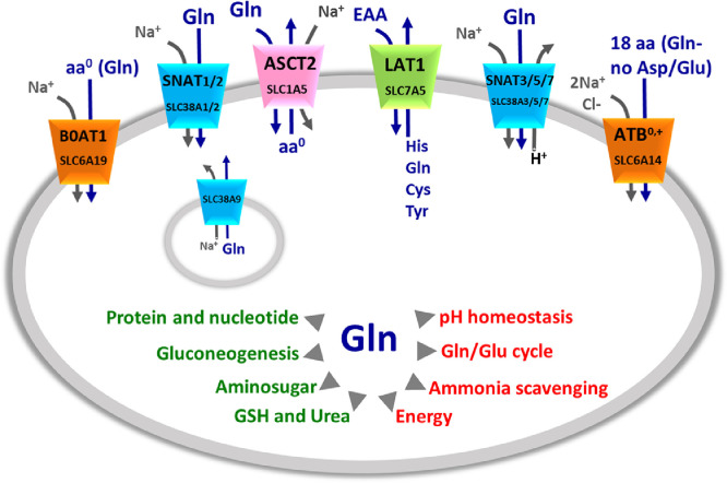 Fig 1