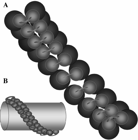 Fig. 5