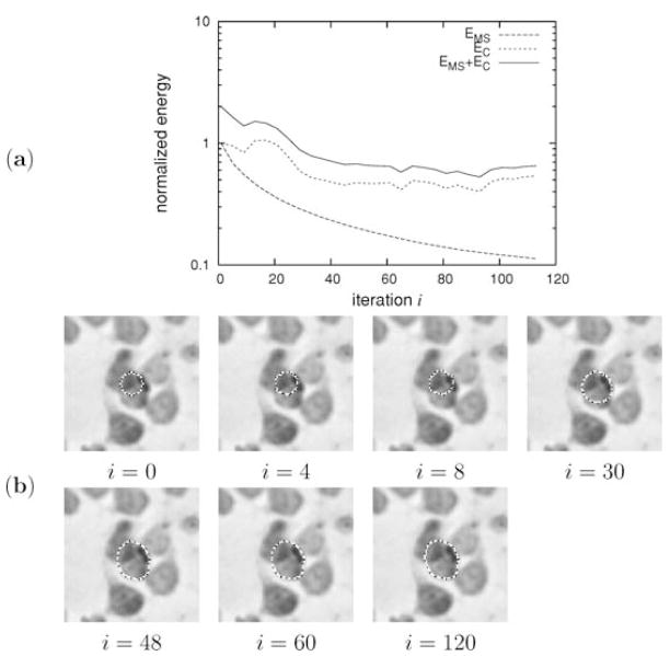 Fig. 7