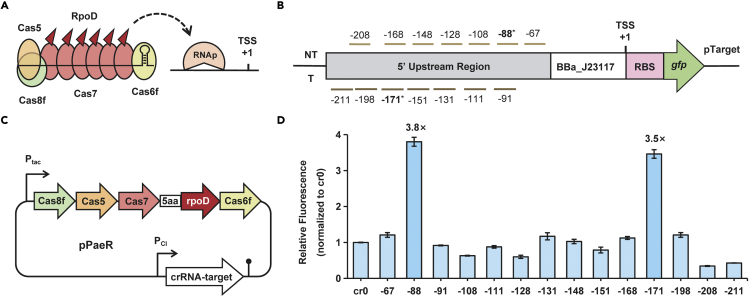 Figure 4