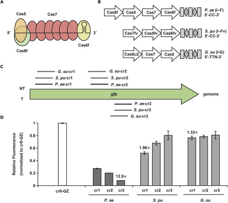 Figure 2