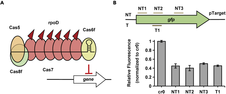 Figure 6