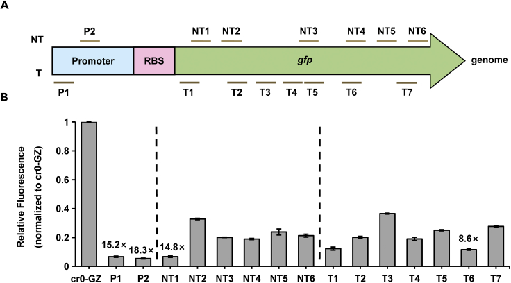 Figure 3