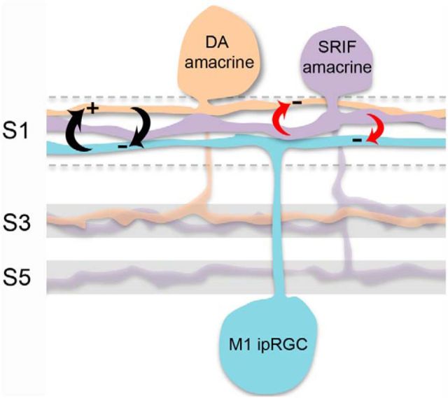 Figure 12.