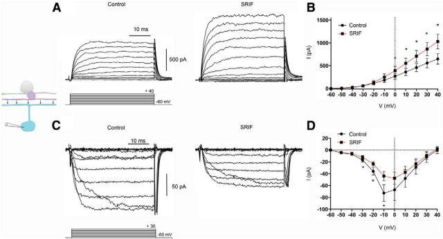 Figure 7.