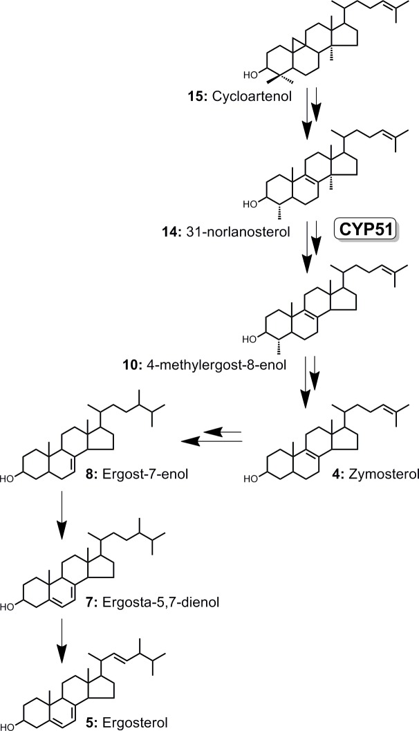 Fig 4