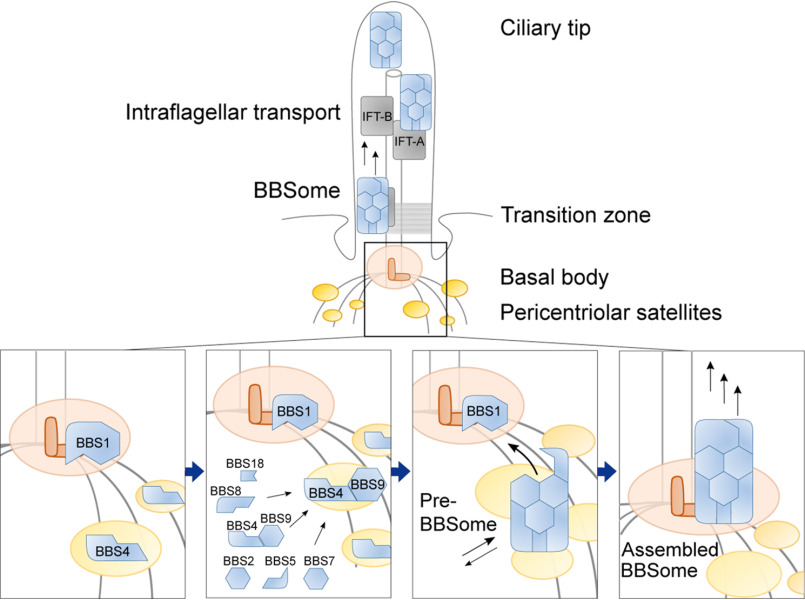 Figure 6.