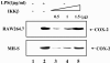 FIG. 7.