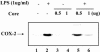 FIG. 9.