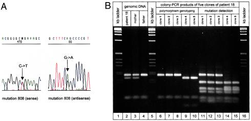 Figure  1