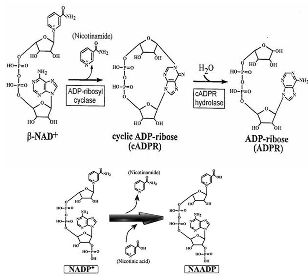 Fig. (1)