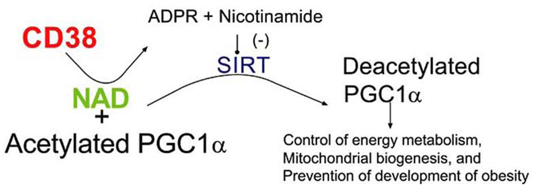 Fig. (3)