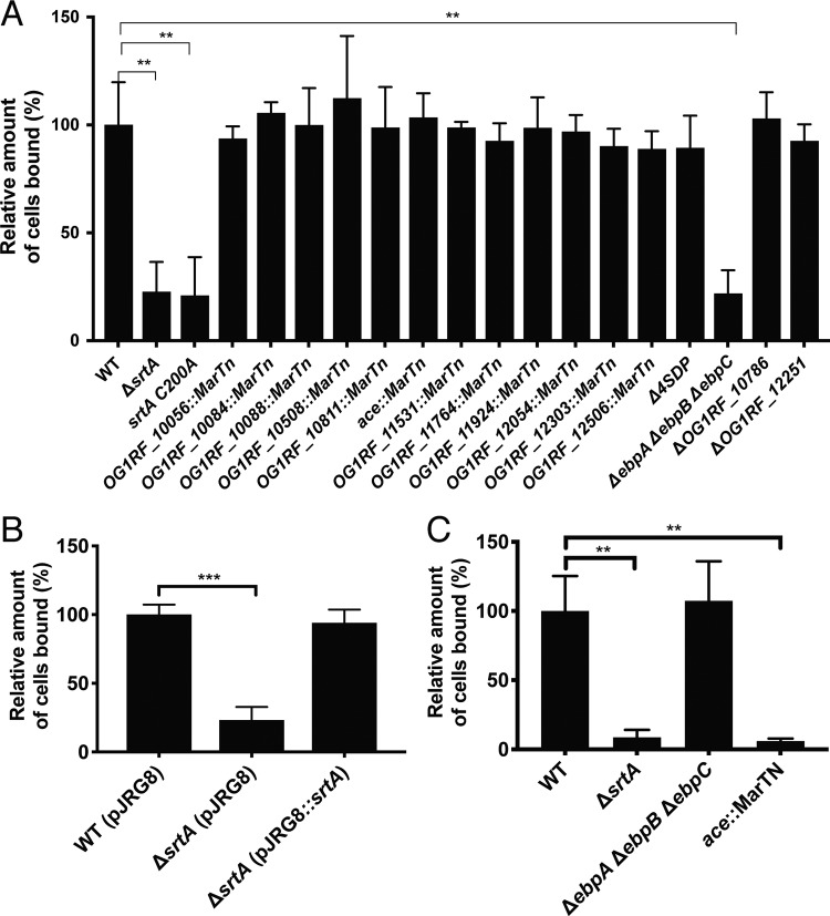 FIG 3