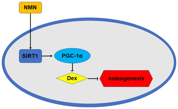 Figure 5.