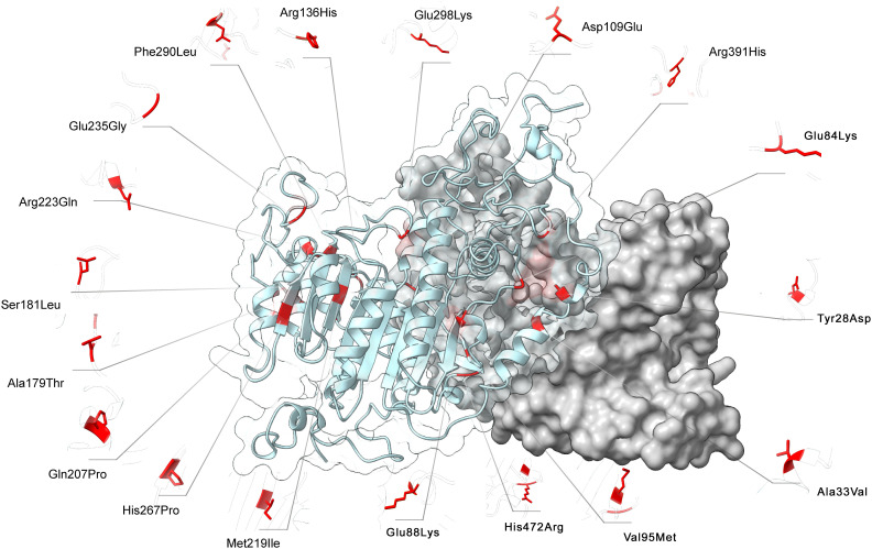 Figure 5