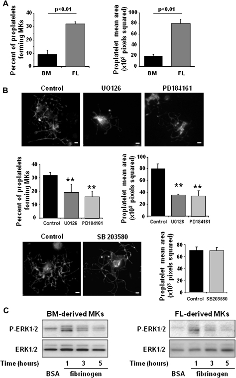 Figure 6