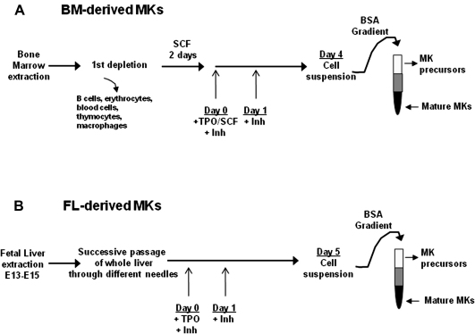 Supplementary Figure E1