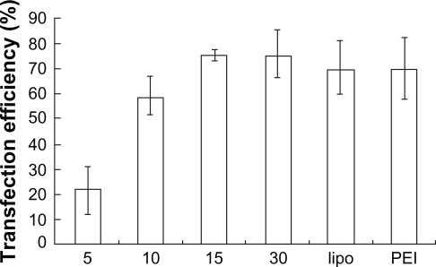 Figure 6b