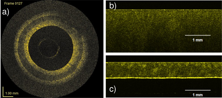 Fig. 12