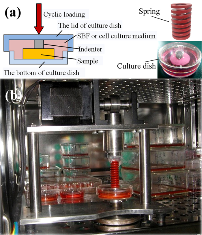 Figure 10