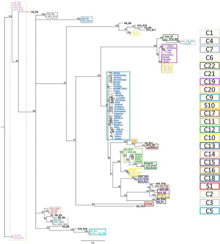 Figure 5