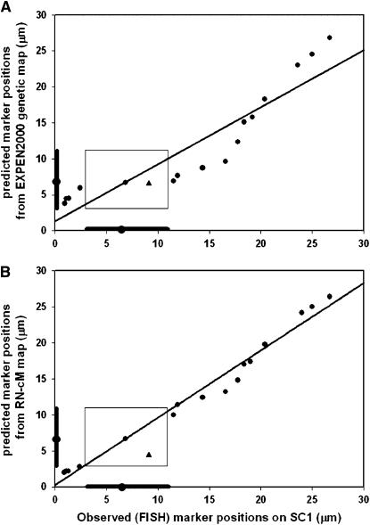 Figure 3.—