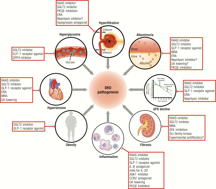 Graphical Abstract