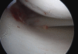 Fig 8