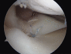 Fig 7
