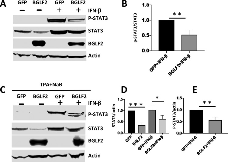 FIG 6