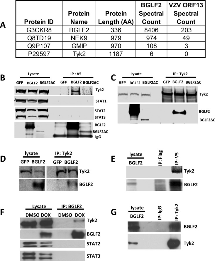 FIG 1