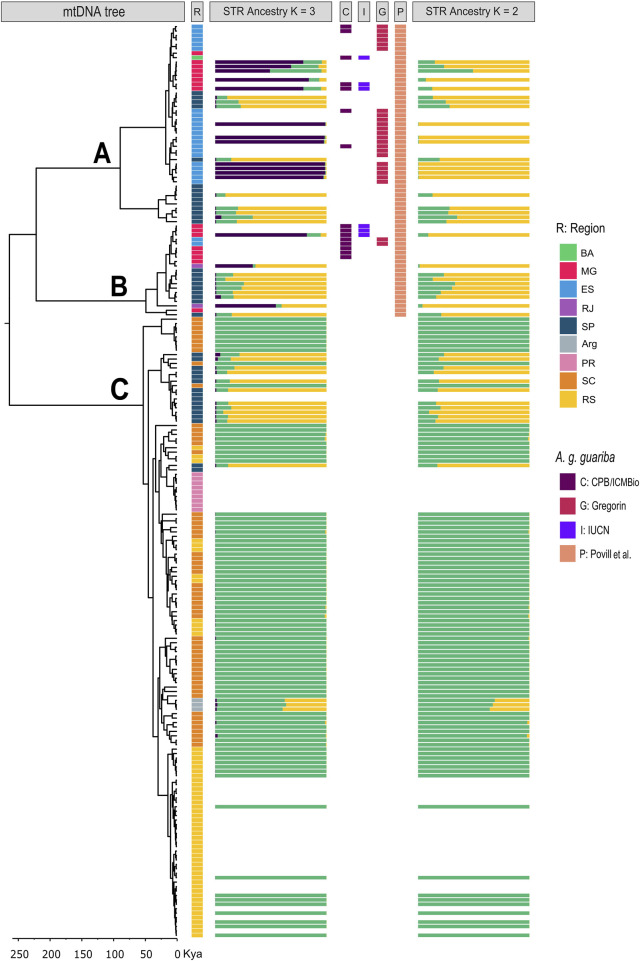 FIGURE 4