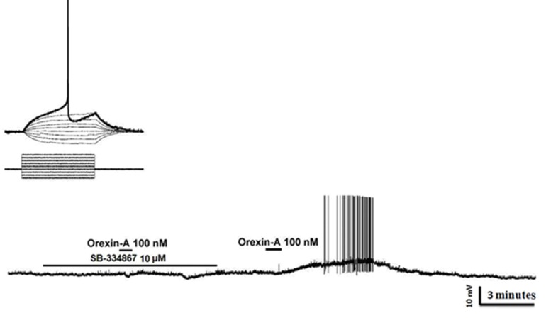 Fig.5