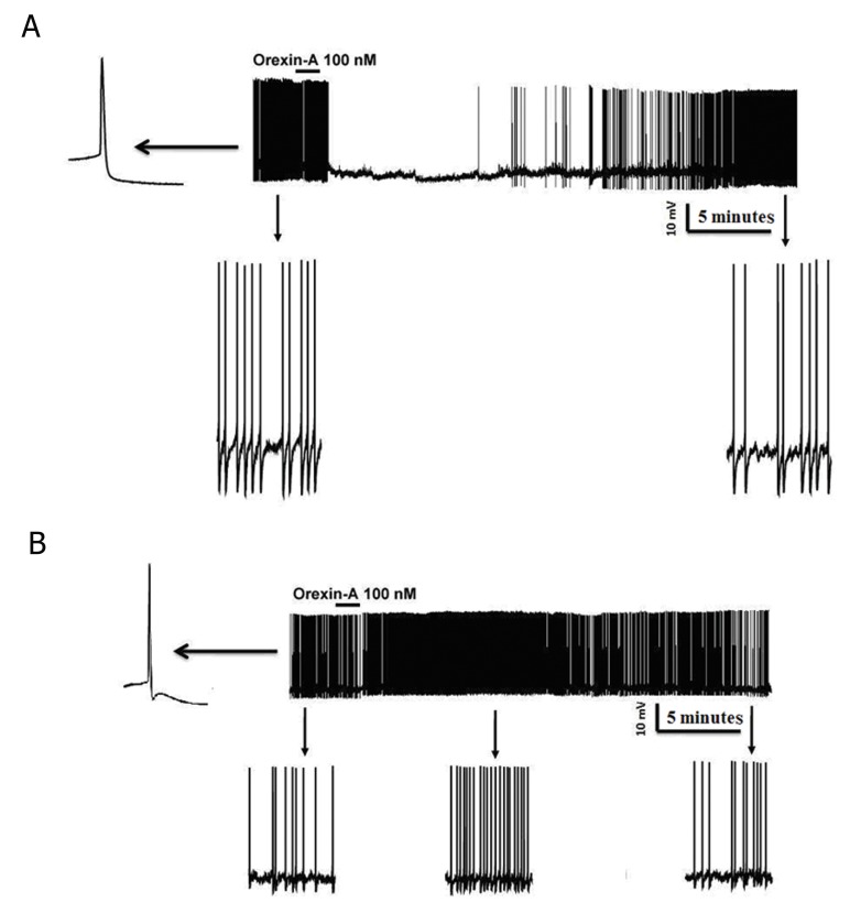 Fig.2