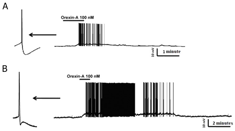 Fig.3