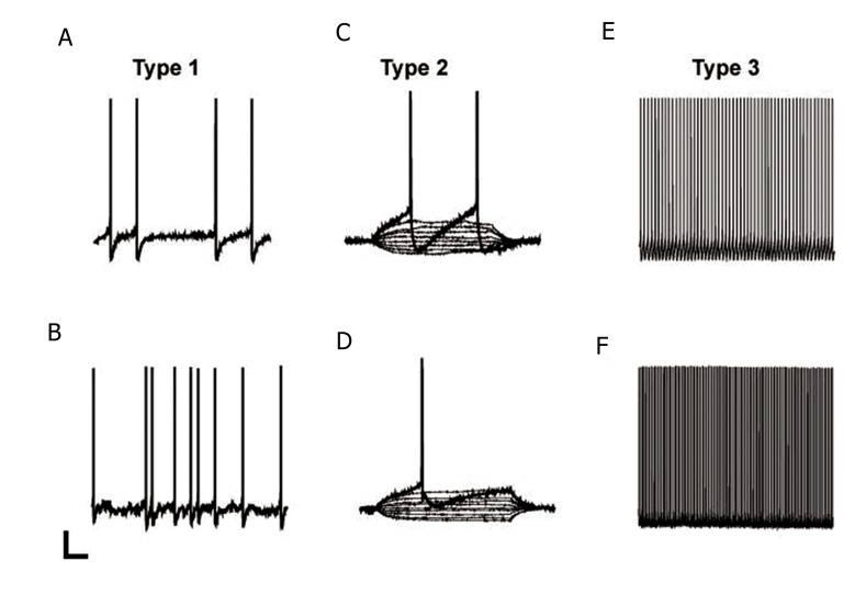 Fig.1