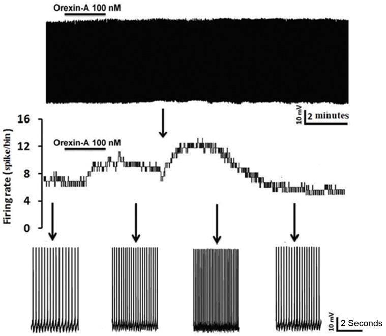 Fig.4