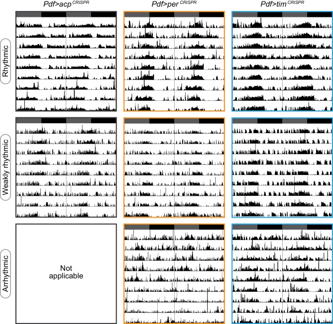 Figure 4—figure supplement 1.