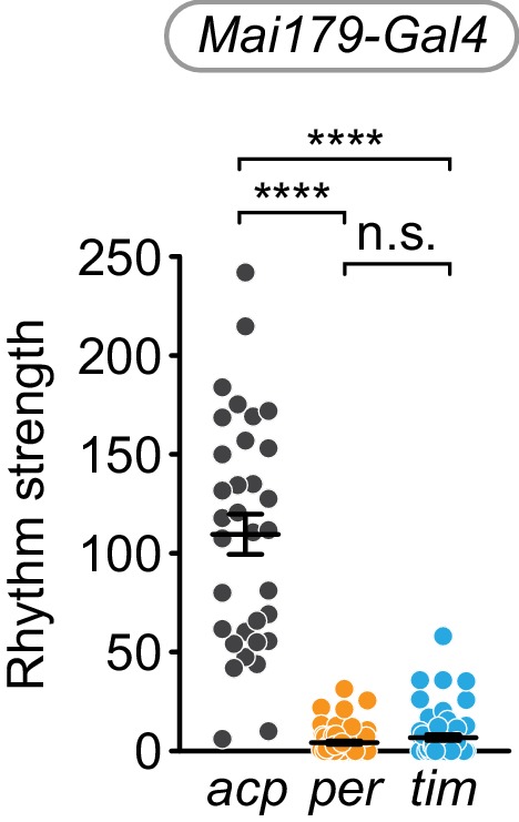 Figure 3—figure supplement 1.