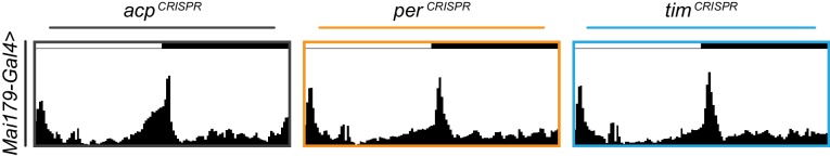 Figure 3—figure supplement 4.