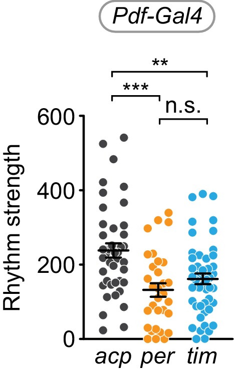 Figure 4—figure supplement 2.