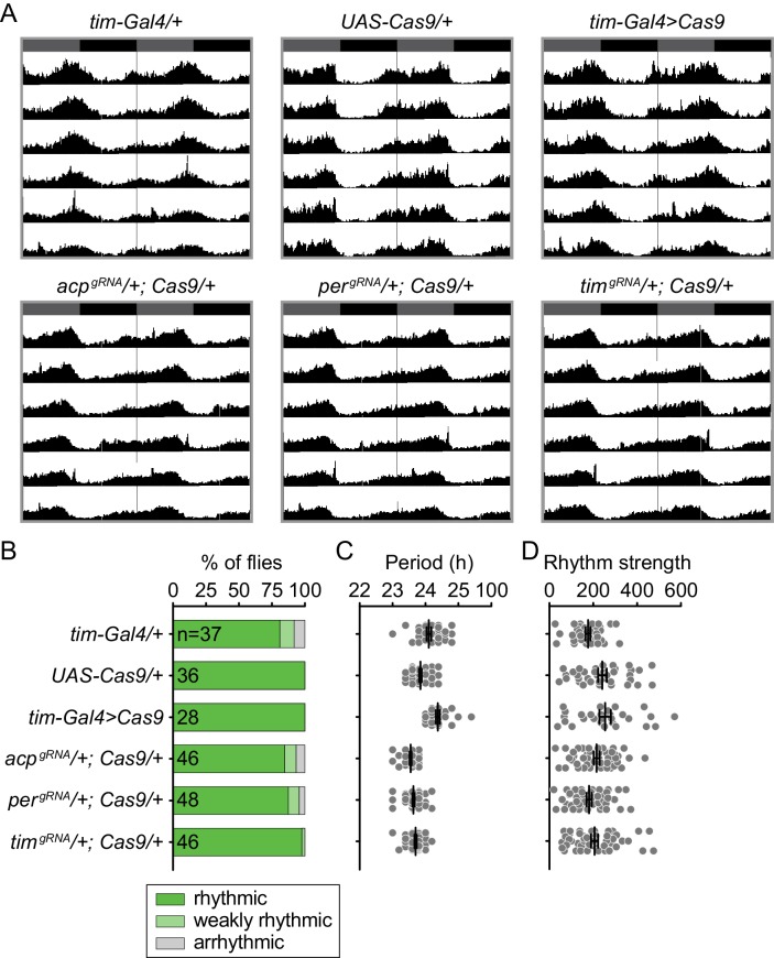 Figure 2—figure supplement 3.