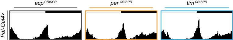 Figure 4—figure supplement 3.